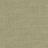 Carole Fabric Cortland Evergreen Gala 100% Polyester India None 54.75" - My Fabric Connection -