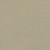 Carole Fabric Rumi Almond Gala 100% Polyester India None 54" - My Fabric Connection -