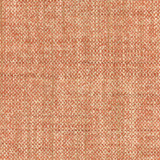 Carole Fabric El Sol Cayenne Head Start 100% Polyester India None 55" - My Fabric Connection -