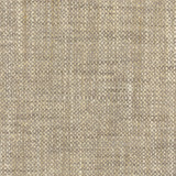 Carole Fabric El Sol Flannel Head Start 100% Polyester India None 55" - My Fabric Connection -
