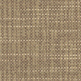 Carole Fabric Endurance Cedar Head Start 100% Polyester IFR Hybrid India None 54" - My Fabric Connection -