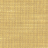 Carole Fabric Endurance Sunglow Head Start 100% Polyester IFR Hybrid India None 54" - My Fabric Connection -