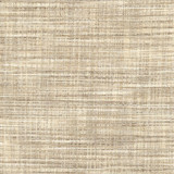 Carole Fabric Millwood Flax Let's Mingle 100% Polyester India None 56.5" - My Fabric Connection -