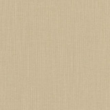 Carole Fabric Liberty Harvest Liberty II 100% Polyester India None 54" - My Fabric Connection -