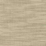 Carole Fabric From The Start Flaxen See It Through 66% Cotton, 34% Polyester India None 55.25" - My Fabric Connection -
