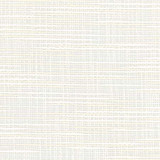 Carole Fabric Gentle Rise Pearl See It Through 83% Polyester, 17% Cotton India None 55" - My Fabric Connection -