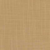 Carole Fabric Lets Be Real Cashew See It Through 100% Recycled Polyester India None 54" - My Fabric Connection -