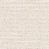 Carole Fabric Worth It Latte See It Through 100% Polyester Turkey None 54" - My Fabric Connection -