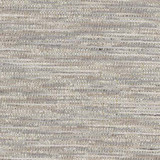 Carole Fabric Sound Mind Granite Stone Path 100% Polyester India None 54" - My Fabric Connection -