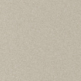 Maxwell Fabric CONTE 924 LIMESTONE CURLED UP VIII 100% POLYESTER INDIA 54" - My Fabric Connection -