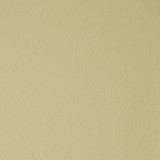 Maxwell Fabric Flexa 105 Sprout  FACE: 100% SILICONE CHINA   54"  - My Fabric Connection -