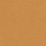 Europatex Fabric Samson Spice Samson 100% Polyester 0.00" 55.00 inches - My Fabric Connection -