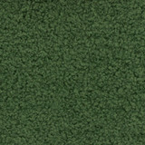 Europatex Fabric Teddy Grass Teddy 100% Polyester 0.00" 57.00 inches - My Fabric Connection -