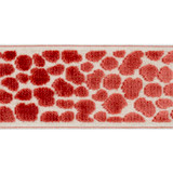 Europatex Fabric Alpas Flamingo Alpas 100% Polyester 3.50 inches - My Fabric Connection -