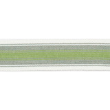 Europatex Fabric Pergola Striped Tape Lime Pergola 100% Solution Dyed Acrylic 1.50 inches - My Fabric Connection -