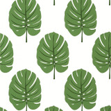 Thibaut Wallpaper Monstera Green T13952 Wallpaper Wallpaper U.S.A. - </p><p>Repeat: V: 18 27 - My Fabric Connection - Thibaut Wallpaper Monstera Green T13952 Wallpaper Wallpaper U.S.A. - </p><p>Repeat: V: 18 27 - My Fabric Connection -