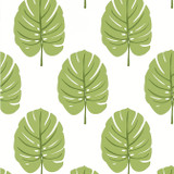 Thibaut Wallpaper Monstera Apple Green T13955 Wallpaper Wallpaper U.S.A. - </p><p>Repeat: V: 18 27 - My Fabric Connection - Thibaut Wallpaper Monstera Apple Green T13955 Wallpaper Wallpaper U.S.A. - </p><p>Repeat: V: 18 27 - My Fabric Connection -