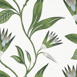 Anna French Wallpaper Cleo Vine Green and White AT9622 Wallpaper Non Woven Wallpaper U.S.A. - </p><p>Repeat: V: 25.25 27 - My Fabric Connection -