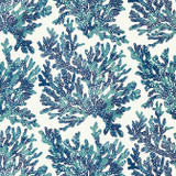 Thibaut Wallpaper Marine Coral Navy T10124 Wallpaper Wallpaper U.S.A. - </p><p>Repeat: V: 25.25 27 - My Fabric Connection - Thibaut Wallpaper Marine Coral Navy T10124 Wallpaper Wallpaper U.S.A. - </p><p>Repeat: V: 25.25 27 - My Fabric Connection -