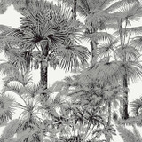 Thibaut Wallpaper Palm Botanical Black T10102 Wallpaper Wallpaper U.S.A. - </p><p>Repeat: V: 36 27 - My Fabric Connection - Thibaut Wallpaper Palm Botanical Black T10102 Wallpaper Wallpaper U.S.A. - </p><p>Repeat: V: 36 27 - My Fabric Connection -