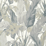 Thibaut Wallpaper Travelers Palm Grey T10129 Wallpaper Non Woven Wallpaper UNITED KINGDOM - </p><p>Repeat: V: 40 27 - My Fabric Connection - Thibaut Wallpaper Travelers Palm Grey T10129 Wallpaper Non Woven Wallpaper UNITED KINGDOM - </p><p>Repeat: V: 40 27 - My Fabric Connection -