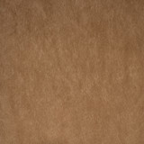 Greenhouse Fabric F5578 Camel - 100% Polyester China 50000 None 55" - My Fabric Connection - Greenhouse Fabric F5578 Camel - 100% Polyester China 50000 None 55" - My Fabric Connection -