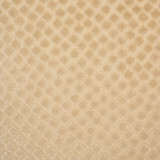 Greenhouse Fabric F5617 Desert - 100% Polyester Indonesia 18000 7" H, 3.75" V 56" - My Fabric Connection -
