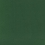 Greenhouse Fabric S6477 Spruce - 100% Cotton USA 100000 None 56" - My Fabric Connection -