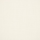 Greenhouse Fabric S6542 Optic White - 100% Polyester India 100000 None 54" - My Fabric Connection -