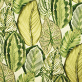Greenhouse Fabric S6415 Dill - 100% Cotton Peru 25000 13.5" H, 25.25" V 54" - My Fabric Connection -