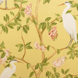 Greenhouse Fabric S6346 Daffodil - 100% Cotton India 33000 27.25" H, 24.63" V 55" - My Fabric Connection - Greenhouse Fabric S6346 Daffodil - 100% Cotton India 33000 27.25" H, 24.63" V 55" - My Fabric Connection -