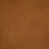 Greenhouse Fabric F5025 Saddle - Face: 100% Pvc, Back: 100% Polyester China 100000 None 54" - My Fabric Connection - Greenhouse Fabric F5025 Saddle - Face: 100% Pvc, Back: 100% Polyester China 100000 None 54" - My Fabric Connection -