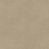 Maxwell Fabric Top Grain-Nj # 848 Konik MEMOS ONLY-COATED FABRICS FACE: 100% SILICONE
BACKING: 100% POLYESTER KOREA 54" - My Fabric Connection - Maxwell Fabric Top Grain-Nj # 848 Konik MEMOS ONLY-COATED FABRICS FACE: 100% SILICONE
BACKING: 100% POLYESTER KOREA 54" - My Fabric Connection -