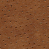 Maxwell Fabric Twitter-Nj # 300 Ginger MEMOS ONLY-COATED FABRICS FACE: 100% PVC
BACKING: 65% POLYESTER
35% COTTON KOREA 54" - My Fabric Connection - Maxwell Fabric Twitter-Nj # 300 Ginger MEMOS ONLY-COATED FABRICS FACE: 100% PVC
BACKING: 65% POLYESTER
35% COTTON KOREA 54" - My Fabric Connection -