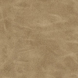 Maxwell Fabric Bonifacio-Nj # 435 Kangaroo MEMOS ONLY-COATED FABRICS FACE: 100% POLYURETHANE
BACKING: 65% POLYESTER
35% COTTON CHINA 54" - My Fabric Connection -