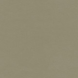 Maxwell Fabric Shaw-Nj # 785 Metal MEMOS ONLY-COATED FABRICS FACE: 100% POLYURETHANE
BACKING: 65% POLYESTER
35% COTTON KOREA 54" - My Fabric Connection -