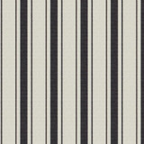 Maxwell Fabric Hawser # 621 Pirate HOME & GARDEN-ACT VIII 100% SOLUTION DYED POLYOLEFIN INDIA H-1.65" 55.5" - My Fabric Connection -