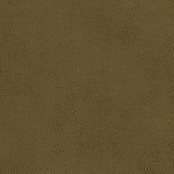 Maxwell Fabric Hermitage-Nj # 1298 Aloe MEMOS ONLY-COATED FABRICS FACE: 100% POLYURETHANE
BACKING: 100% POLYESTER KOREA 54" - My Fabric Connection -