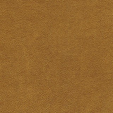Maxwell Fabric Rambutan-Nj # 760 Age MEMOS ONLY-COATED FABRICS FACE: 100% POLYURETHANE
BACKING: 100% POLYESTER KOREA 54" - My Fabric Connection -
