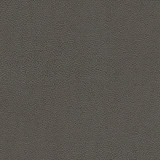 Maxwell Fabric Rambutan-Nj # 779 Graphite MEMOS ONLY-COATED FABRICS FACE: 100% POLYURETHANE
BACKING: 100% POLYESTER KOREA 54" - My Fabric Connection -