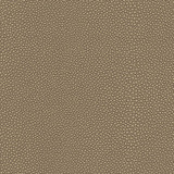 Maxwell Fabric Stingray-Nj # 1072 Desert MEMOS ONLY-COATED FABRICS FACE: 100% PVC
BACKING: 65% POLYESTER
35% COTTON KOREA 54" - My Fabric Connection - Maxwell Fabric Stingray-Nj # 1072 Desert MEMOS ONLY-COATED FABRICS FACE: 100% PVC
BACKING: 65% POLYESTER
35% COTTON KOREA 54" - My Fabric Connection -