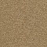 Maxwell Fabric Spire-Nj # 1199 Birch MEMOS ONLY-COATED FABRICS FACE: 100% PVC
BACKING: 100% POLYESTER VIETNAM 54" - My Fabric Connection - Maxwell Fabric Spire-Nj # 1199 Birch MEMOS ONLY-COATED FABRICS FACE: 100% PVC
BACKING: 100% POLYESTER VIETNAM 54" - My Fabric Connection -