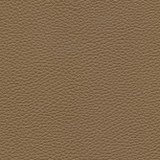 Maxwell Fabric Tebessa-Nj # 145 Coconut MEMOS ONLY-COATED FABRICS FACE: 100% PVC
BACKING: 100% POLYESTER VIETNAM 54" - My Fabric Connection -