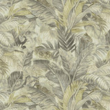TOMMY BAHAMA Fabric Nassau Coconut 880211 - 100% cotton Peru 30000 Horizontal: 27 and Vertical: 25.25 54 - My Fabric Connection - TOMMY BAHAMA Fabric Nassau Coconut 880211 - 100% cotton Peru 30000 Horizontal: 27 and Vertical: 25.25 54 - My Fabric Connection -