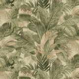 TOMMY BAHAMA Fabric Nassau Willow 880210 - 100% cotton Peru 30000 Horizontal: 27 and Vertical: 25.25 54 - My Fabric Connection - TOMMY BAHAMA Fabric Nassau Willow 880210 - 100% cotton Peru 30000 Horizontal: 27 and Vertical: 25.25 54 - My Fabric Connection -