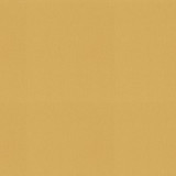 P/K LIFESTYLES Fabric Raya Golden 471414 - 100% recycled polyester India 51000 Horizontal: 0 and Vertical: 0 56 - My Fabric Connection -