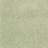 P/K LIFESTYLES Fabric Spotty Dotty Meadow 471240 - 100% polyester China 51000 Horizontal: 14.5 and Vertical: 16.25 56 - My Fabric Connection -