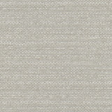 <p>Carole Fabric Let It Sink In Silver</p><p><strong>Required Minimum Quantity Purchase: 2 yards</strong></p><p>Book: Desert Sands</p><p>Content: 98% Polyester, 2% Cotton</p><p>Origin: </p><p>Performance: N/A</p><p>Repeat: None</p><p>Width: 54""</p>