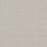 <p>Carole Fabric The Reason Is Silver</p><p><strong>Required Minimum Quantity Purchase: 2 yards</strong></p><p>Book: Desert Sands</p><p>Content: 100% Polyester</p><p>Origin: </p><p>Performance: N/A</p><p>Repeat: None</p><p>Width: 54""</p>
