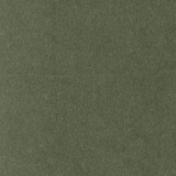 <p>Carole Fabric Wolf Pesto</p><p><strong>Required Minimum Quantity Purchase: 2 yards</strong></p><p>Book: Warm Embrace</p><p>Content: 87% Polyester, 13% Linen-Acrylic Backing</p><p>Origin: </p><p>Performance: 50,000 Wyzenbeek Double Rubs</p><p>Repeat: None</p><p>Width: 56 1/4""</p>